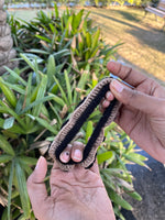 Load image into Gallery viewer, Beige Black Layered Crochet Scrunchie
